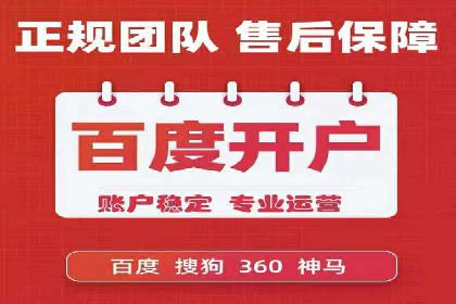企业SEM服务实战案例解析